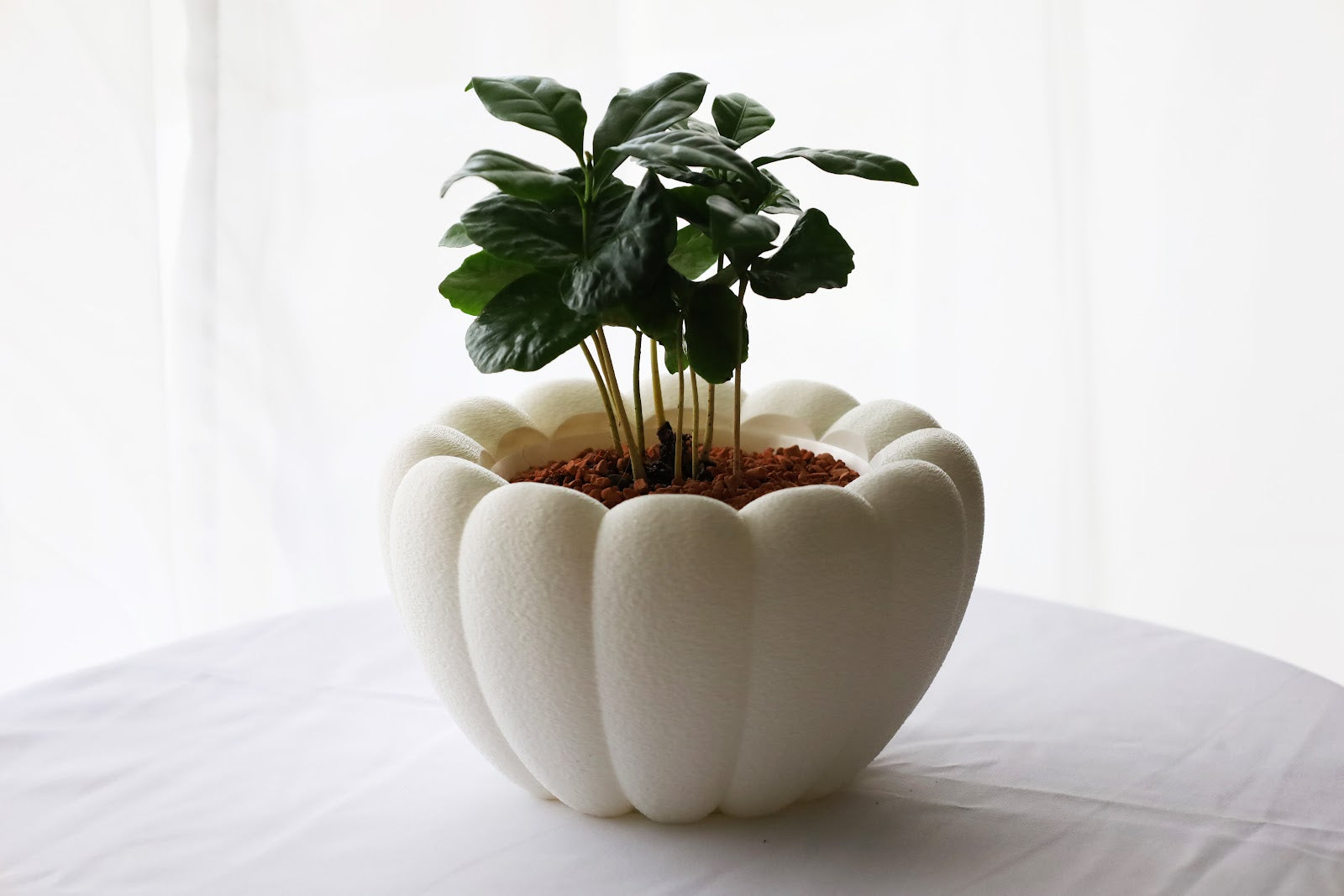 Iap Airy Table Planter