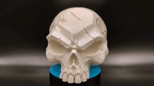 Battle Scarred Skull Dark Decor