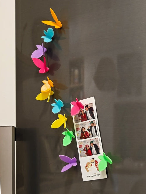 Butterfly Magnets