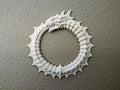 Bone Dragon Ouroboros Dark Wall Decor