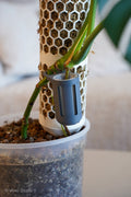 Rootdock Node – Aerial Root Propagation Pod (stem Clip)