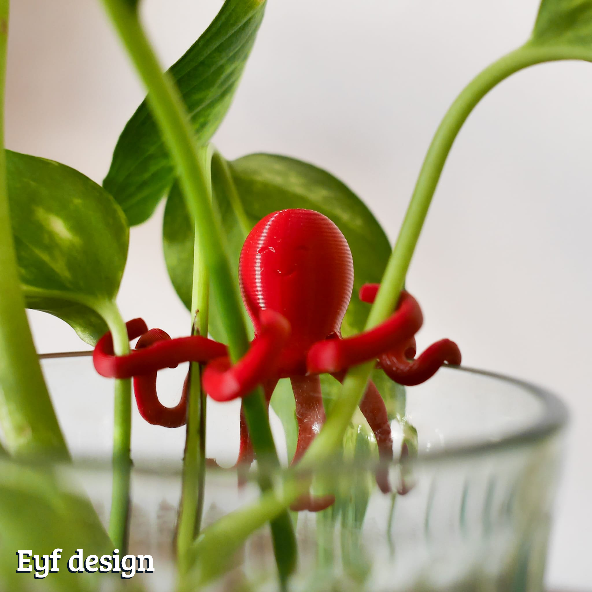 Octoplant Water Propagation Octopus