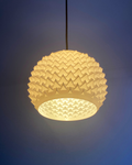 Pinn Pendant Lamp Dragon Egg Lampshade