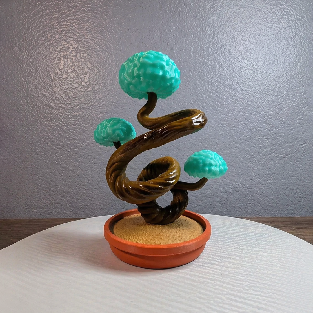 Twisted Spirit Bonsai Tree