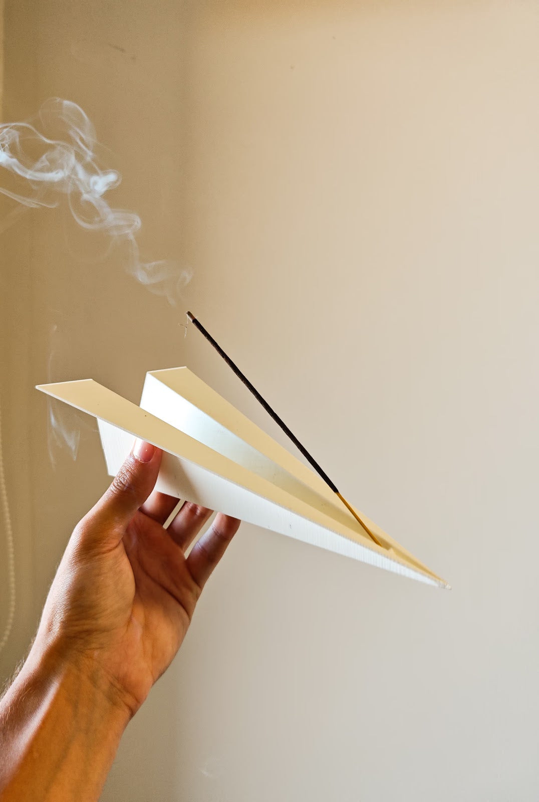 Zen Plane