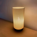 Eva Adaptive Lampshade