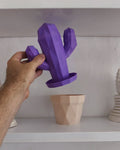 Cactus Planter Organizer