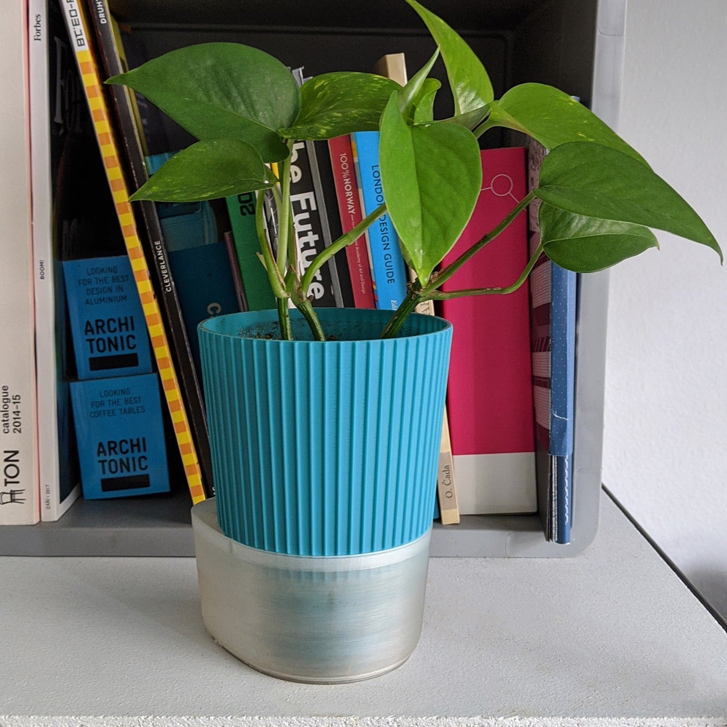 Planter 02